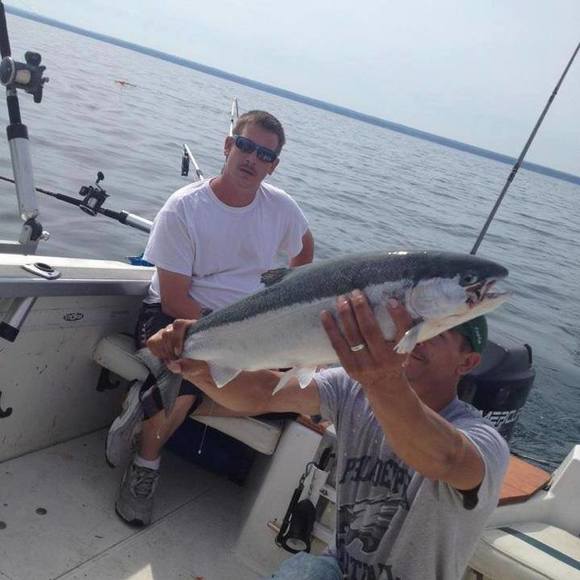 Meet your Posher, Chris - Picture 1 of 1